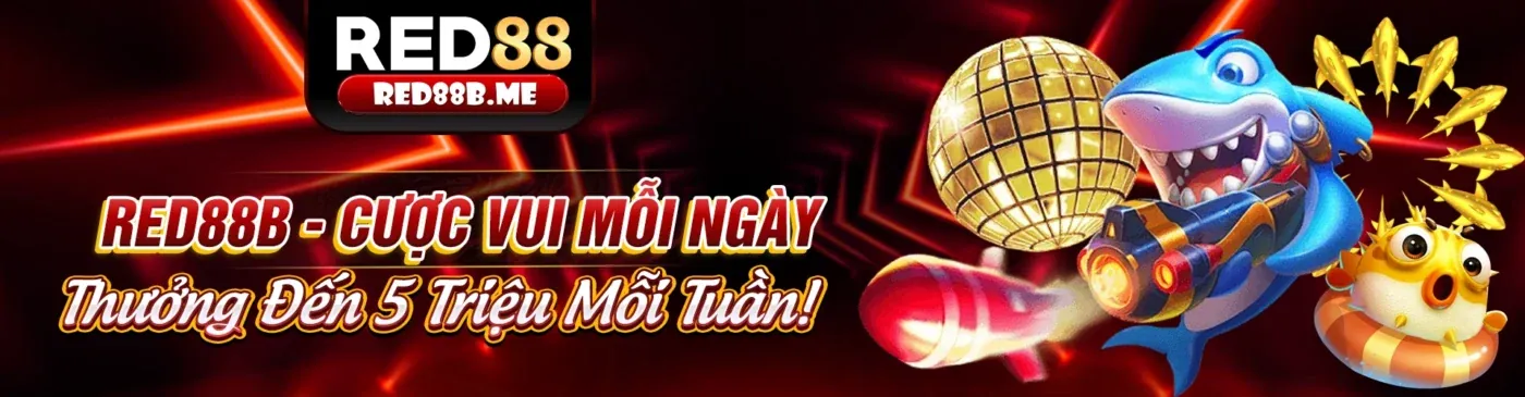 Hình ảnh Đối tác m66 chính thức
